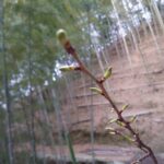 春！？2月が始まっちゃいましたね！