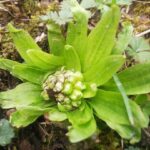 恵みの雨️に里山のいきものたちも喜んでいます！