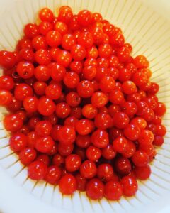 甘酸っぱいんがたまらんユスラウメ