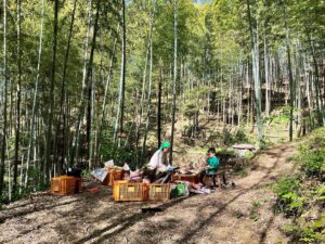 じいじと小僧が仲良くたけのこの皮むき