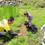 竹林ふもとの里山ビオトープでいきものさがし