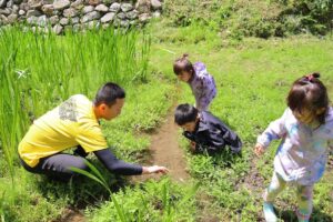 竹林ふもとの里山ビオトープでいきものさがし