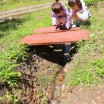 里山の水路を探検!