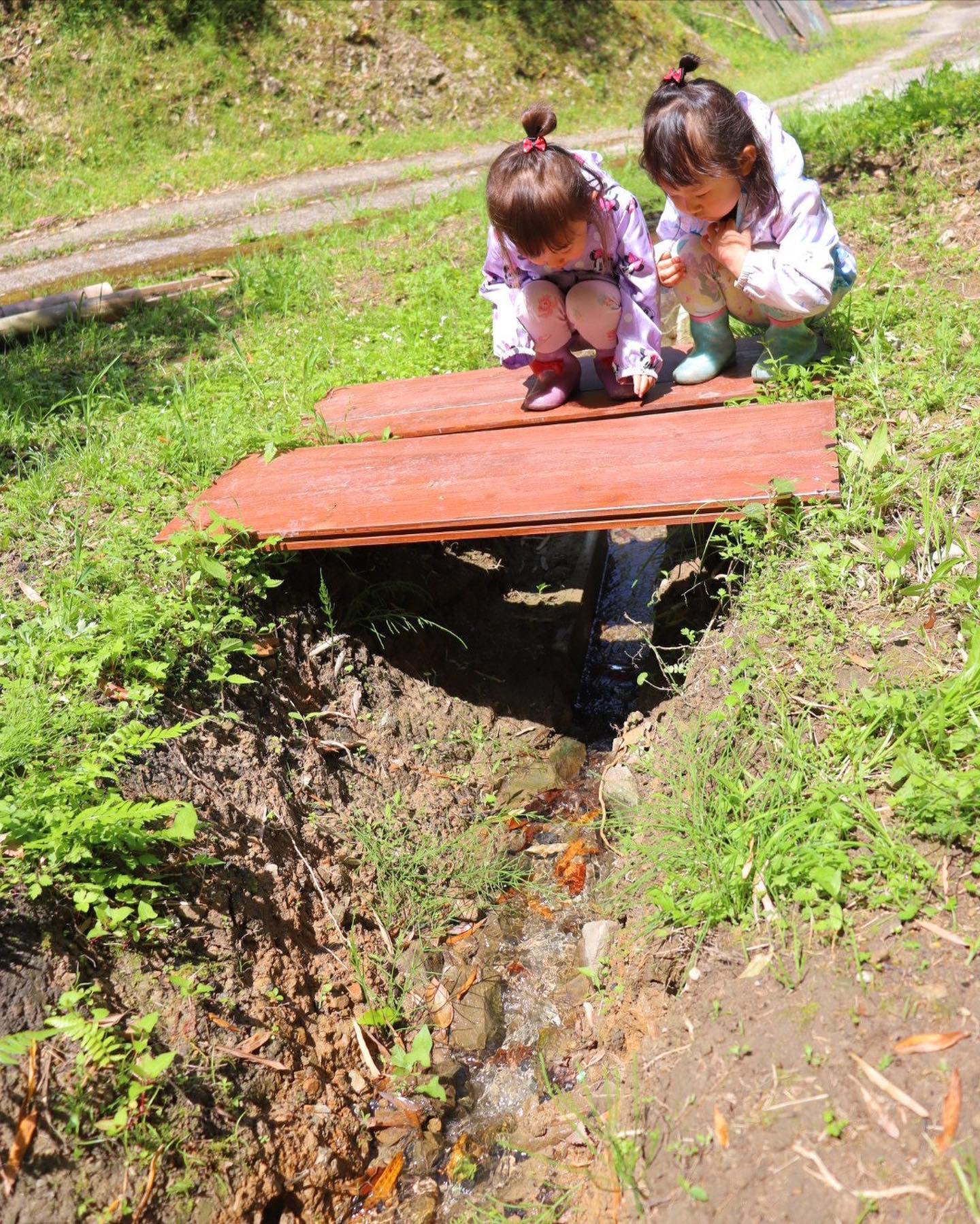 里山ビオトープの水は竹やぶからしみ出て流れ込んでいますそんな水路を渡る小さい橋がお気に入りの双子かわええ🧒🏻🏻キレイな水にたくさんの生きものいっぱい遊んで学んでおっきくなーれ！#双子 #twins #かわいい #親バカ部 #里山 #竹林 #ビオトープ #自然 #nature #体験 #教育 #徳島 #阿南 #阿波たけのこ農園 #水路 #水源 #川 #水遊び #橋