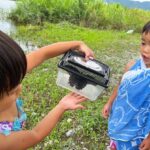 生き物探しも楽しい川あそび