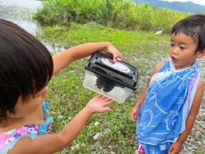 生き物探しも楽しい川あそび
