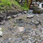里山ビオトープ️ 水車まわりの整備