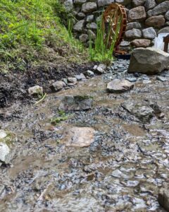 里山ビオトープ️ 水車まわりの整備