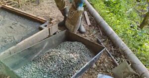 じいじの里山DIY　Next！