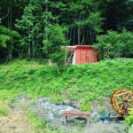 SUMMER　木と竹と草いっぱい