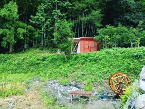 SUMMER　木と竹と草いっぱい