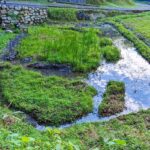 里山ビオトープ　水面に青空と雲🌤