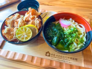 徳島メシ 阿波尾鶏のからあげ丼＆わかめうどん