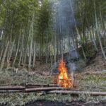 竹林整備 燃やして片付け