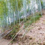 2022ラストの竹林整備!