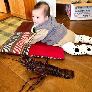 生まれてはじめての伊勢エビ🦐