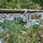 四国・徳島ではめずらしい『つらら』 水車もカッチコチ