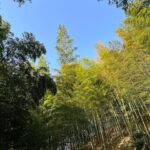 たけのこ掘りの休憩　爽やかな空が気持ちいいです♪