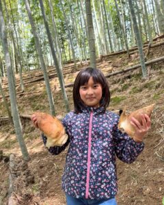 たけのこ掘り こどもたちも手伝ってくれました！