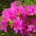 2023GWスタート！