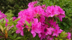 2023GWスタート！