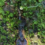 里山のふもとから水がすごい勢いで流れ出しています