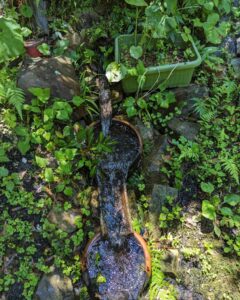 里山のふもとから水がすごい勢いで流れ出しています