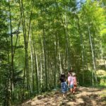 2023夏の竹やぶ探検隊 出動!