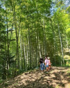 2023夏の竹やぶ探検隊 出動！