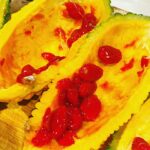 甘くてうまい！ ゴーヤーのタネ