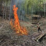 雨の後は間伐した竹の枝葉を焼いていきます