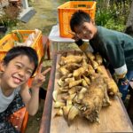 たけのこの皮むき